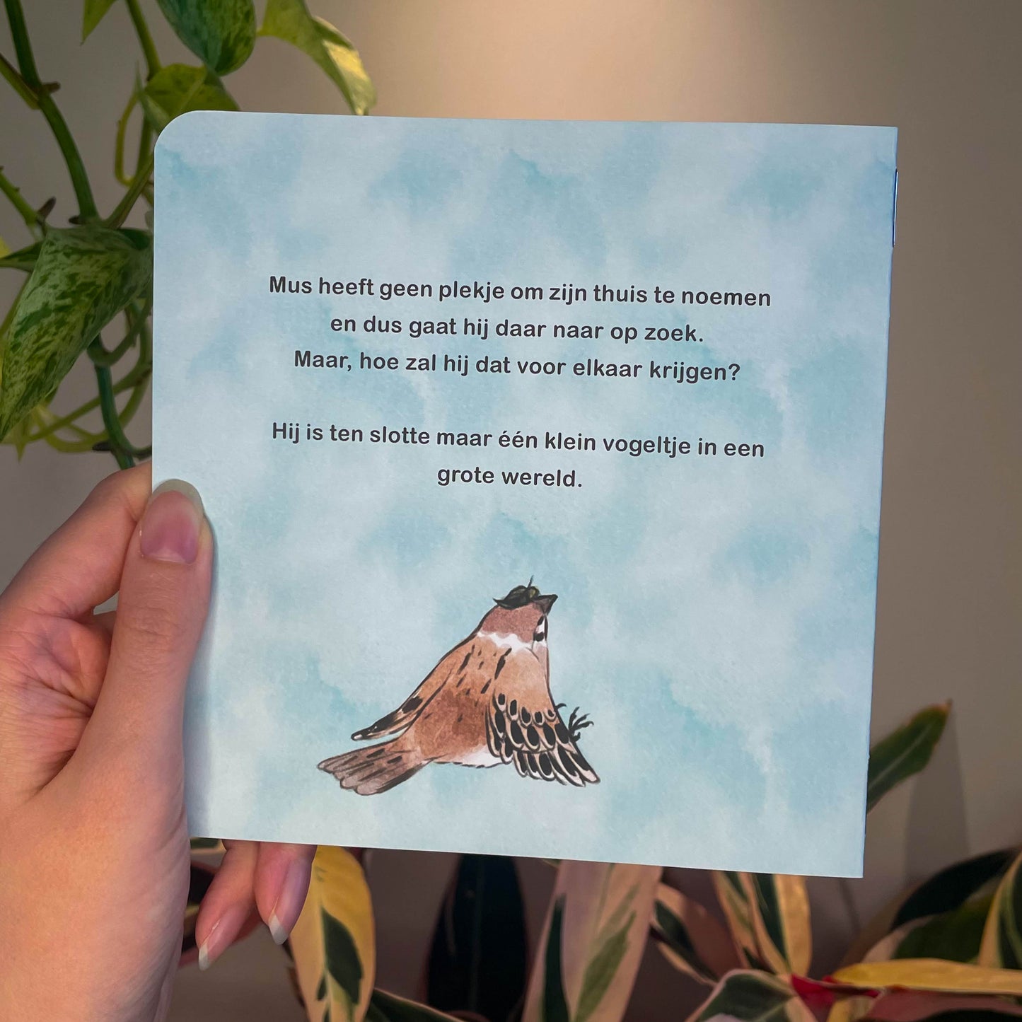 Mus Zoekt Een Thuis | Paperback| Dutch