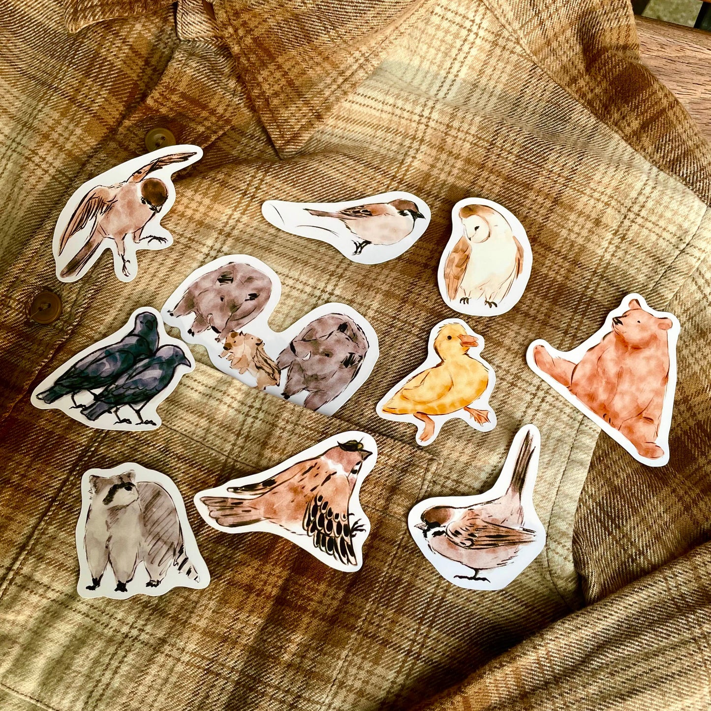 Mus Zoekt Een Thuis | A Place To Call Home Stickers