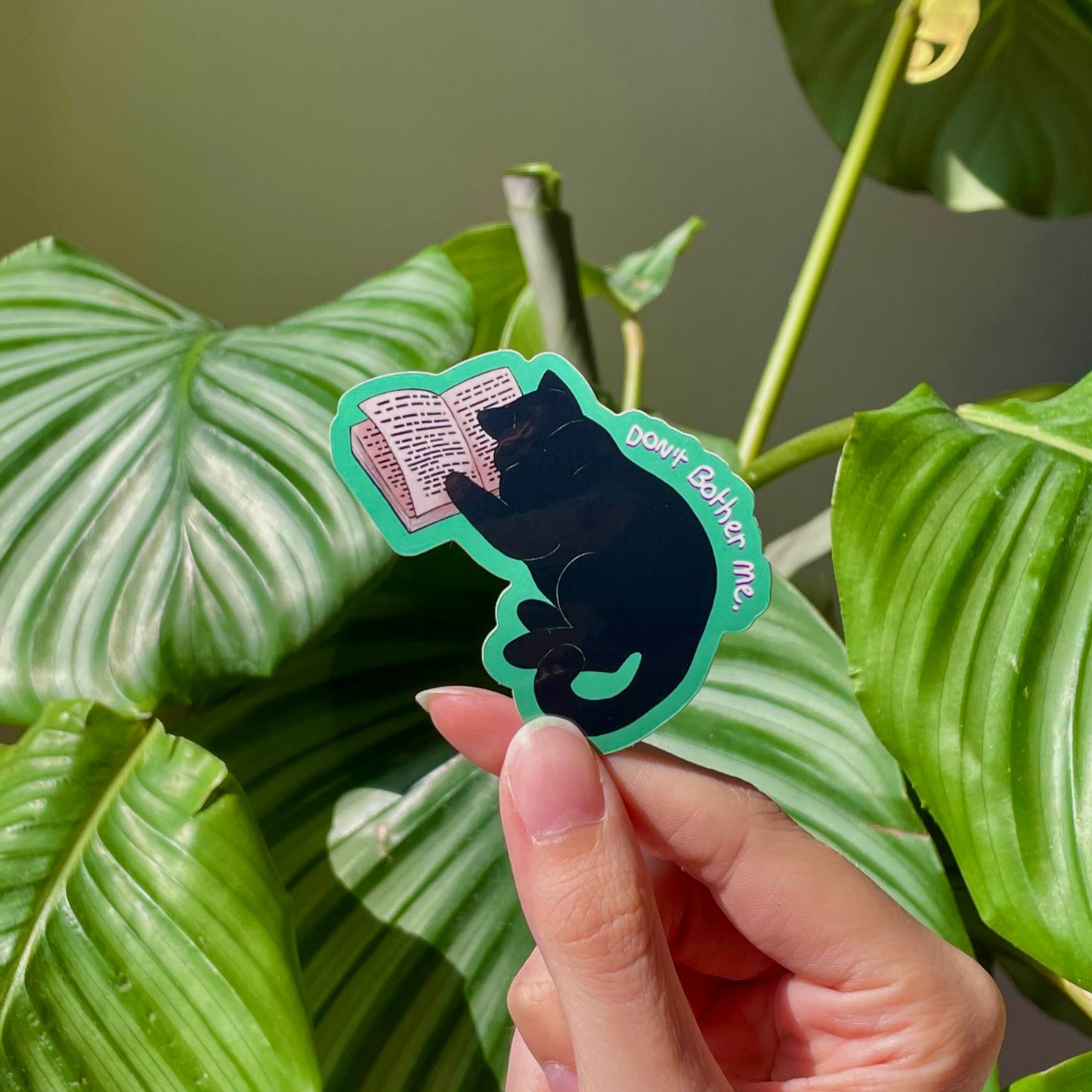 Funny cat stickers