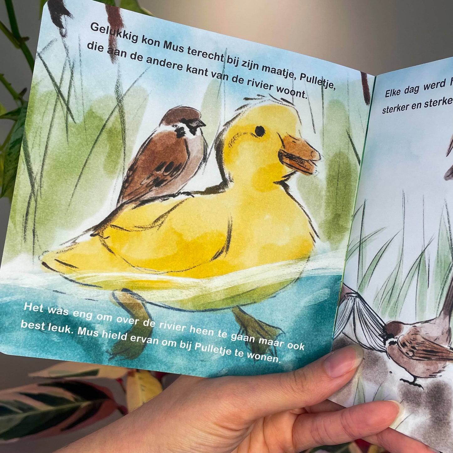 Mus Zoekt Een Thuis | Paperback| Dutch