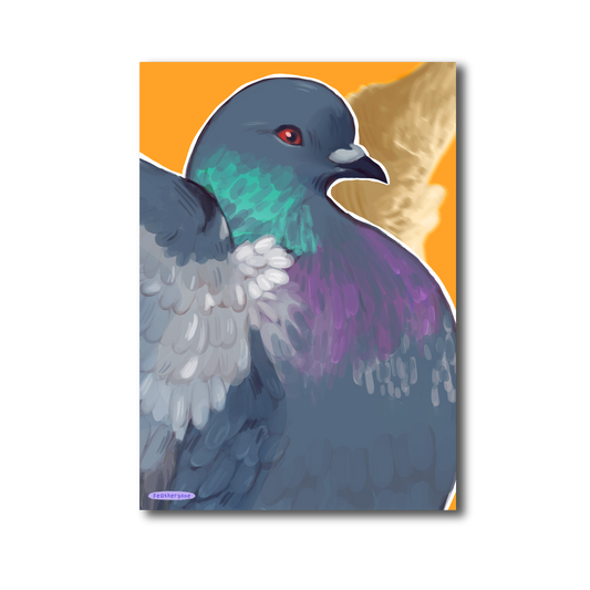 Pigeon Print