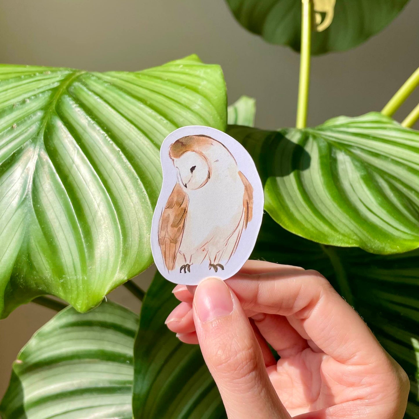 Mus Zoekt Een Thuis | A Place To Call Home Stickers